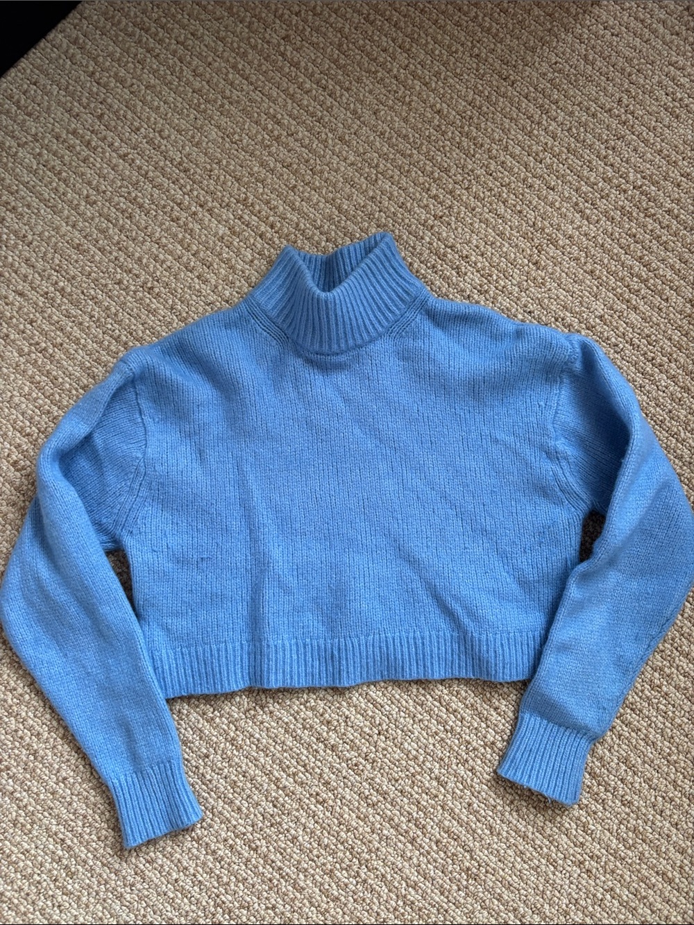Aritzia Sky Blue Cropped Turtleneck Sweater